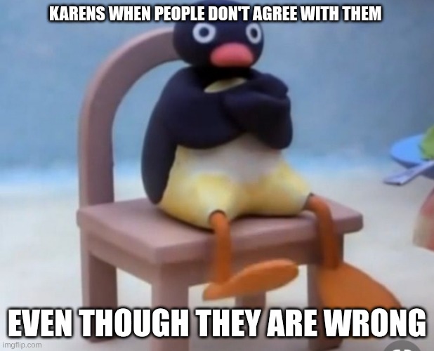 Angry pingu | KARENS WHEN PEOPLE DON'T AGREE WITH THEM; EVEN THOUGH THEY ARE WRONG | image tagged in angry pingu | made w/ Imgflip meme maker