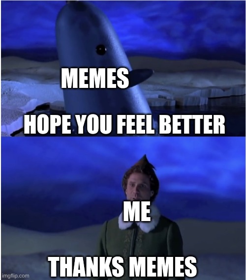 Mr Narwhal | MEMES; HOPE YOU FEEL BETTER; ME; THANKS MEMES | image tagged in mr narwhal | made w/ Imgflip meme maker