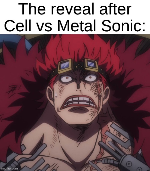 R.I.P. Kid vs Bakugou | The reveal after Cell vs Metal Sonic: | image tagged in memes,death battle,one piece,my hero academia,chainsaw man,anime | made w/ Imgflip meme maker