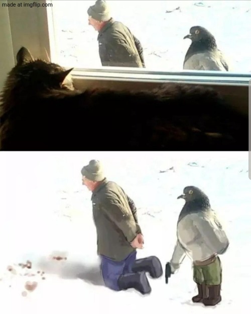 Gestapooop | image tagged in h | made w/ Imgflip meme maker