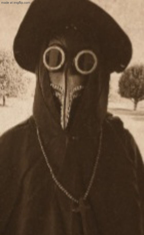 First photo of a plague doctor | image tagged in true,history,not a lie | made w/ Imgflip meme maker