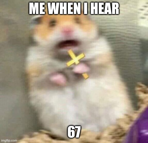 Scared Hamster with Cross | ME WHEN I HEAR; 67 | image tagged in scared hamster with cross | made w/ Imgflip meme maker