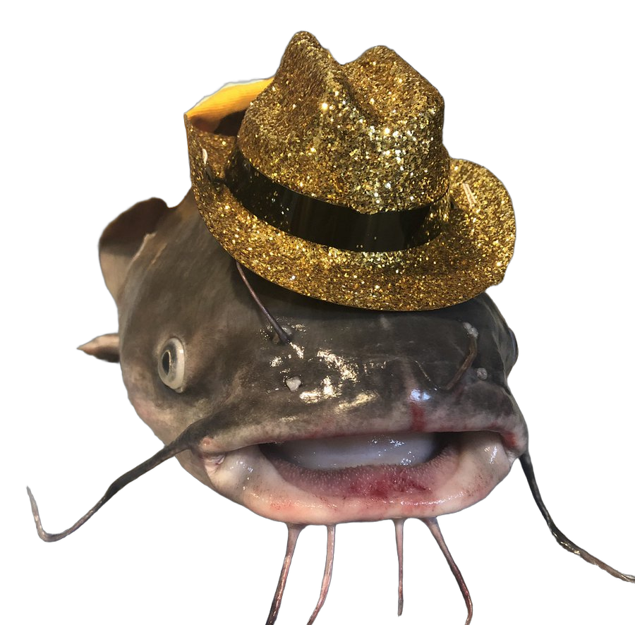 Fish Blank Meme Template