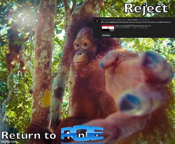 I say we destroy the UTTP! | image tagged in return to monke,uttp,youtube,powerhouse of entertainment,why are you reading the tags | made w/ Imgflip meme maker