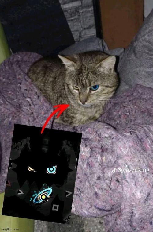 image tagged in funny | made w/ Imgflip meme maker