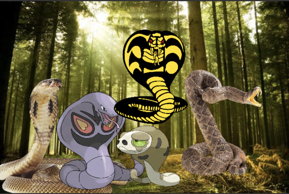 cobra astetic Blank Meme Template