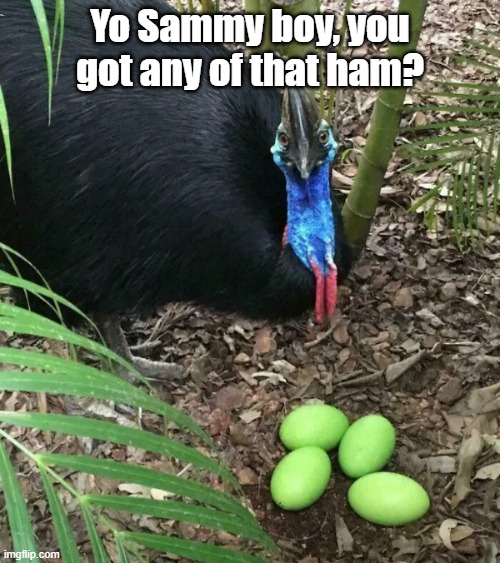 Green Eggs And Ham | Yo Sammy boy, you got any of that ham? | image tagged in dr seuss,green eggs and ham,story,breakfast | made w/ Imgflip meme maker