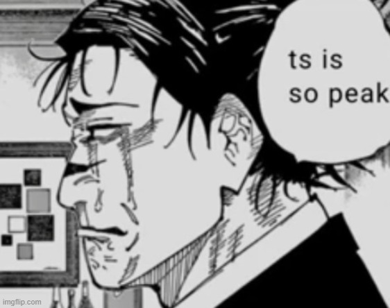 image tagged in ts is so peak | made w/ Imgflip meme maker