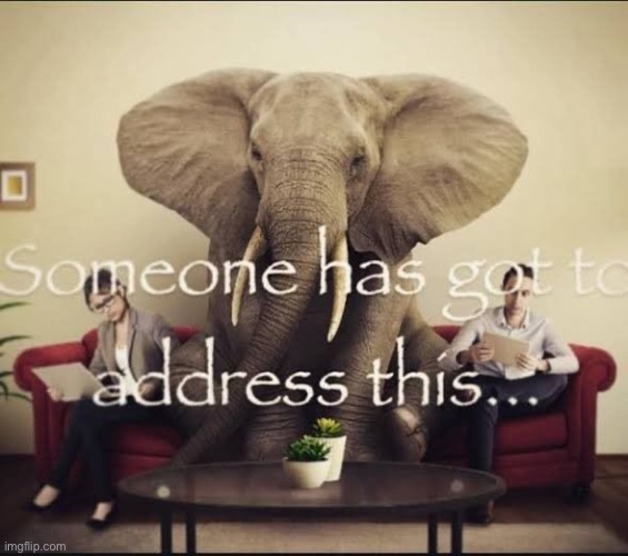 Someone has got to address this.. | image tagged in someone has got to address this | made w/ Imgflip meme maker