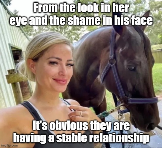 Stable Relationship | From the look in her eye and the shame in his face; It's obvious they are having a stable relationship | image tagged in horse,cute,just horsing around,stable,relationship | made w/ Imgflip meme maker