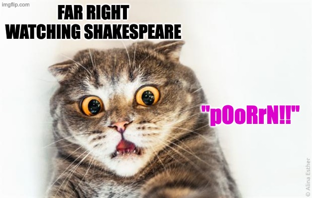FAR RIGHT WATCHING SHAKESPEARE "pOoRrN!!" | image tagged in horrified cat | made w/ Imgflip meme maker