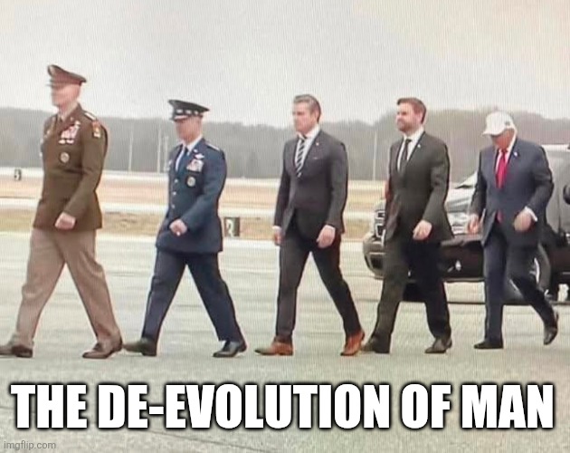 De-evolution of man | THE DE-EVOLUTION OF MAN | image tagged in rihtwing,monkeys,fall of mankind | made w/ Imgflip meme maker