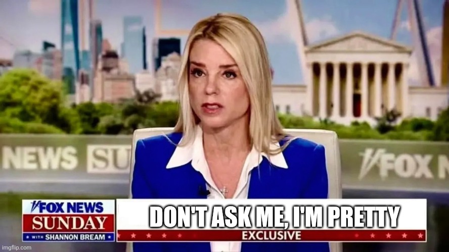 Bondi infront of committee | DON'T ASK ME, I'M PRETTY | image tagged in pam bondi interview | made w/ Imgflip meme maker