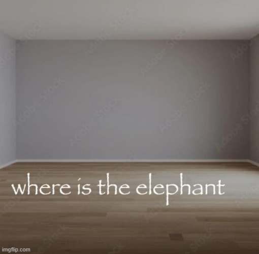where is the elephant | image tagged in where is the elephant | made w/ Imgflip meme maker