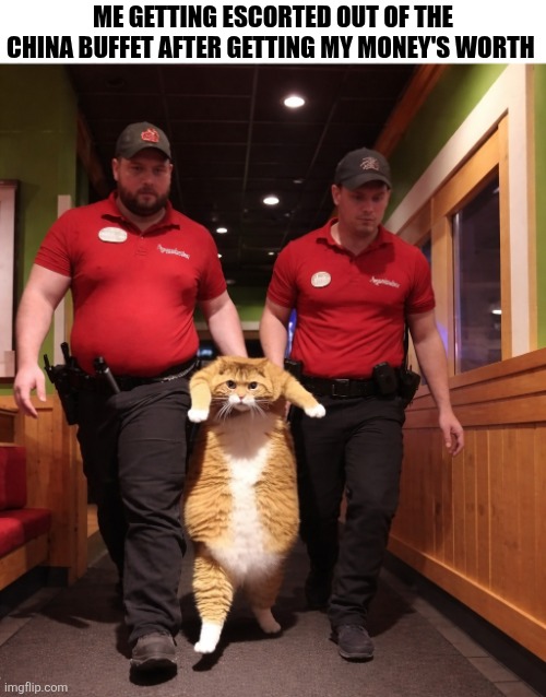 Me Getting Escorted Out Of The China Buffet | ME GETTING ESCORTED OUT OF THE CHINA BUFFET AFTER GETTING MY MONEY'S WORTH | image tagged in chrisjoines1 | made w/ Imgflip meme maker