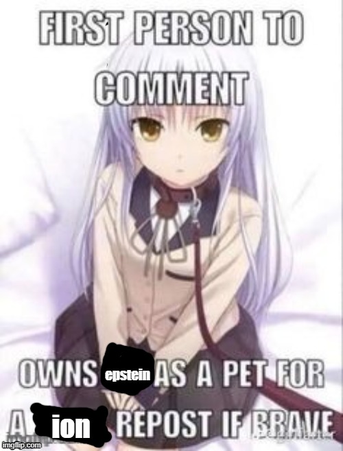 first person to comment owns as a pet for a week | epstein; ion | image tagged in first person to comment owns as a pet for a week | made w/ Imgflip meme maker