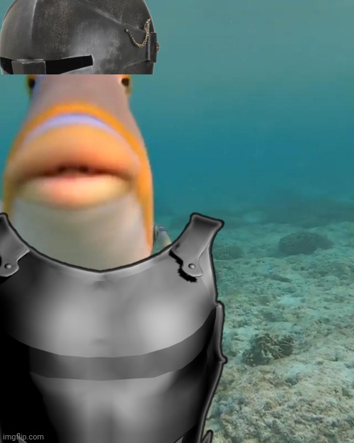 staring fish | image tagged in staring fish | made w/ Imgflip meme maker