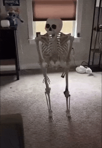 Skeleton Damn Blank Meme Template