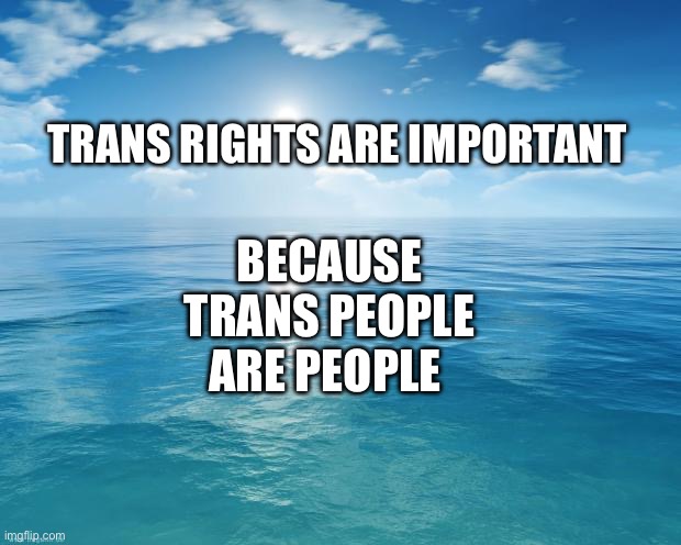 Silly, Bigot. Rights are for people. | TRANS RIGHTS ARE IMPORTANT; BECAUSE TRANS PEOPLE ARE PEOPLE | image tagged in ocean | made w/ Imgflip meme maker