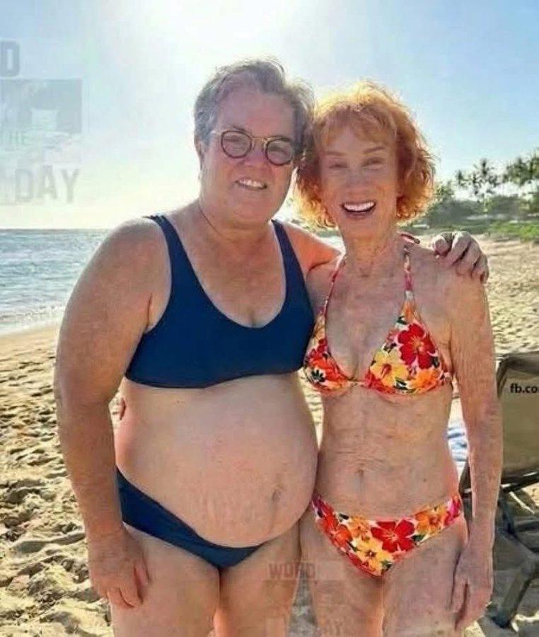 Hideous Duo. Bitches from Hell. Blank Meme Template