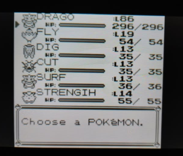 Pokemon Red Team Blank Meme Template