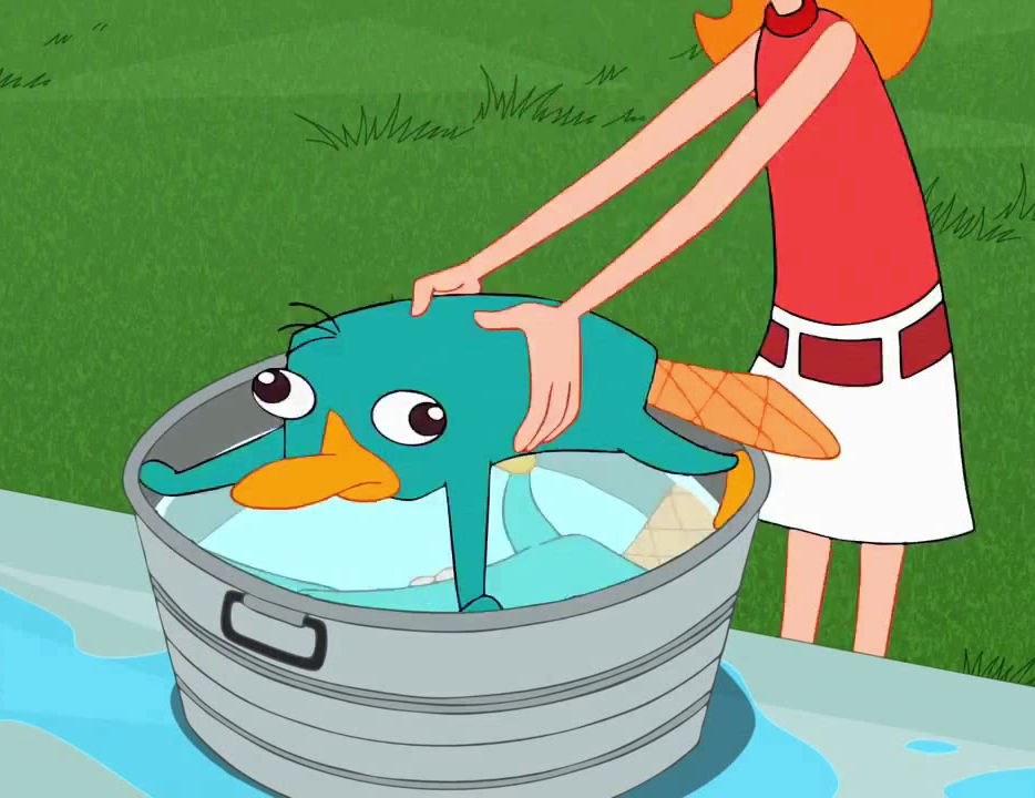 Perry avoids Bath Blank Meme Template