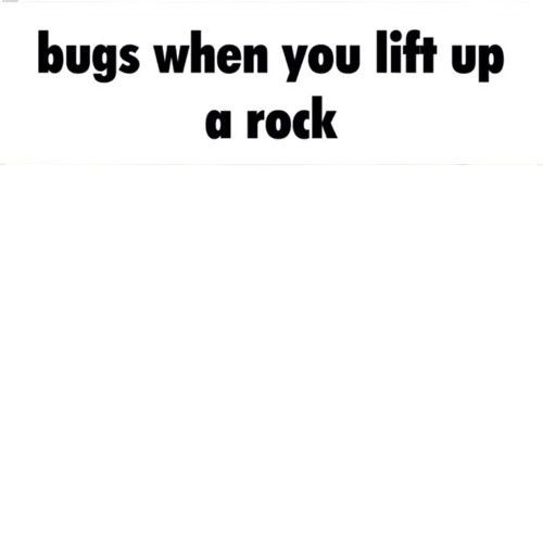 Bugs when you lift up a rock Blank Meme Template