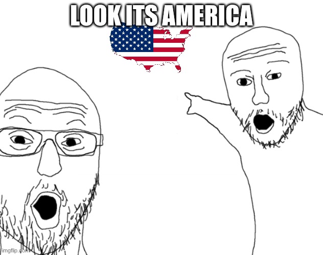chat its america | LOOK ITS AMERICA | image tagged in soyjak pointing | made w/ Imgflip meme maker