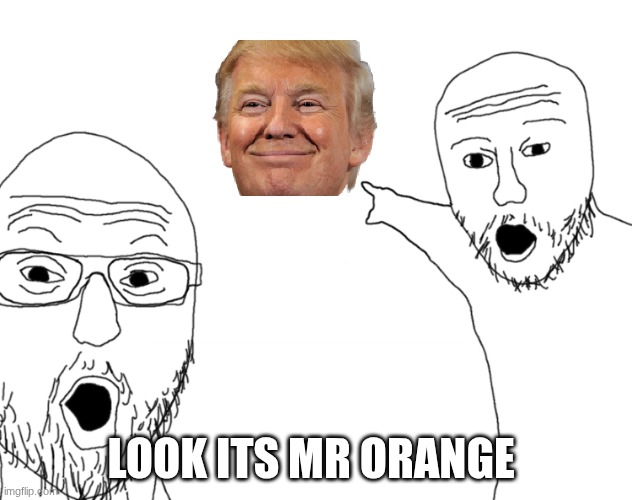 guys look its d onald trump | LOOK ITS MR ORANGE | image tagged in soyjak pointing | made w/ Imgflip meme maker