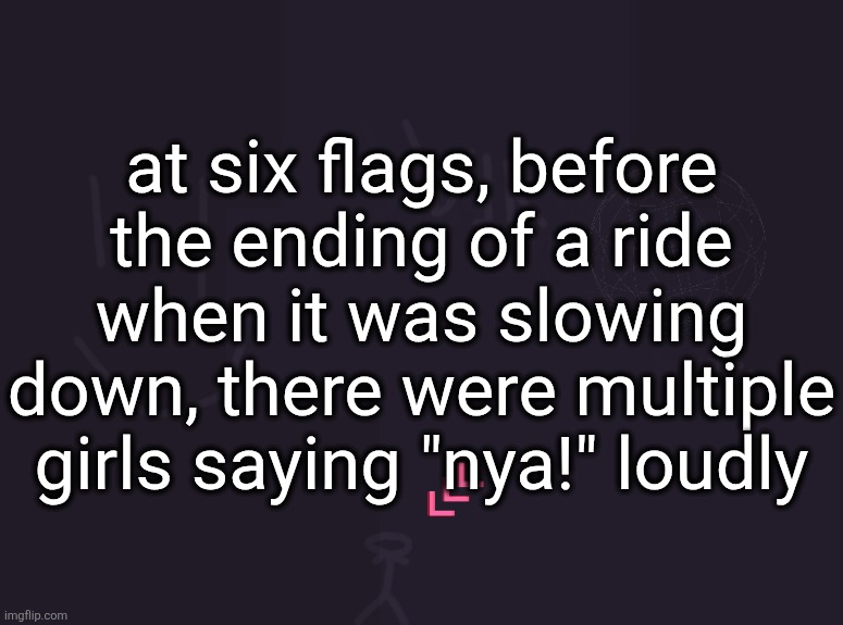 I also heard the exchange "I'm not gay I have a boyfriend" "Yeah but with no dick" | at six flags, before the ending of a ride when it was slowing down, there were multiple girls saying "nya!" loudly | image tagged in vik's image | made w/ Imgflip meme maker