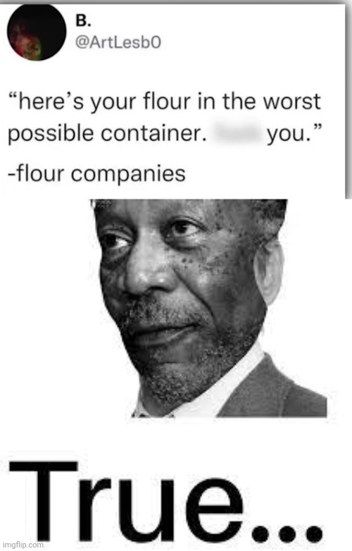 image tagged in morgan freeman true | made w/ Imgflip meme maker