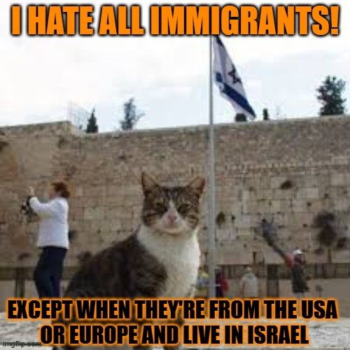 This #lolcat wonders if all immigrants are created equal | I HATE ALL IMMIGRANTS! EXCEPT WHEN THEY'RE FROM THE USA 
OR EUROPE AND LIVE IN ISRAEL | image tagged in immigration,immigrants,lolcat,hypocrites,zionism | made w/ Imgflip meme maker