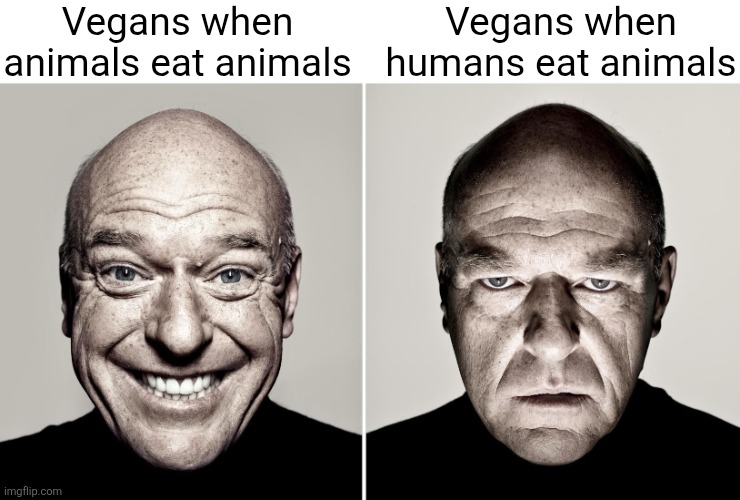 cmon vegans go protest them instead | Vegans when animals eat animals; Vegans when humans eat animals | image tagged in dean norris's reaction,vegans,animals,eating,meat,people | made w/ Imgflip meme maker