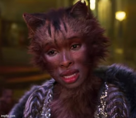 Cats | image tagged in cats | made w/ Imgflip meme maker