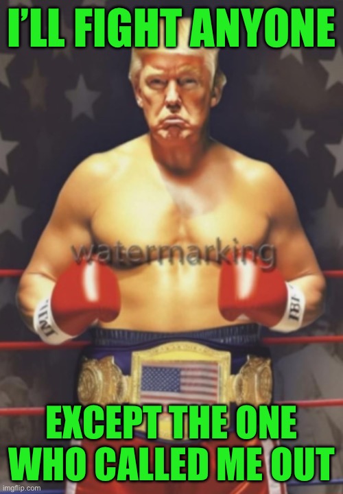 I’LL FIGHT ANYONE; EXCEPT THE ONE WHO CALLED ME OUT | made w/ Imgflip meme maker