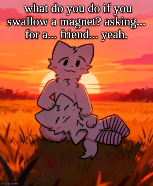 That0neguy announcement temp | what do you do if you swallow a magnet? asking... for a... friend... yeah. | image tagged in that0neguy announcement temp | made w/ Imgflip meme maker