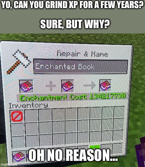 dont mind the barrier | YO, CAN YOU GRIND XP FOR A FEW YEARS? SURE, BUT WHY? OH NO REASON… | image tagged in funny,memes,minecraft,dont mind the image quality,the other books dont combine,oh wow are you actually reading these tags | made w/ Imgflip meme maker