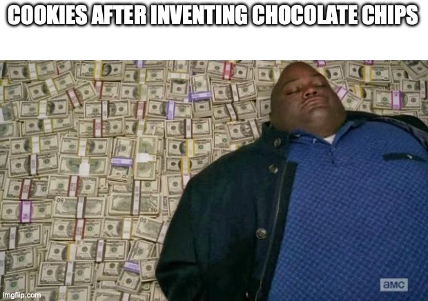 cookies | COOKIES AFTER INVENTING CHOCOLATE CHIPS | image tagged in huell money | made w/ Imgflip meme maker