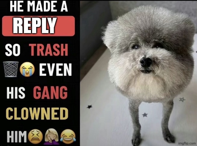 He made a statement so trash (updated) | REPLY | image tagged in he made a statement so trash updated | made w/ Imgflip meme maker