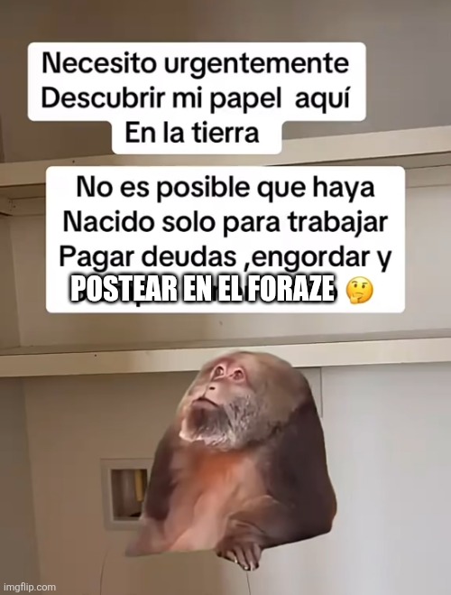am45f8.jpg