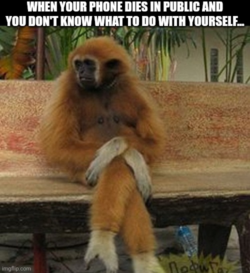 When Your Phone Dies In Public | WHEN YOUR PHONE DIES IN PUBLIC AND YOU DON'T KNOW WHAT TO DO WITH YOURSELF... | image tagged in chrisjoines1 | made w/ Imgflip meme maker