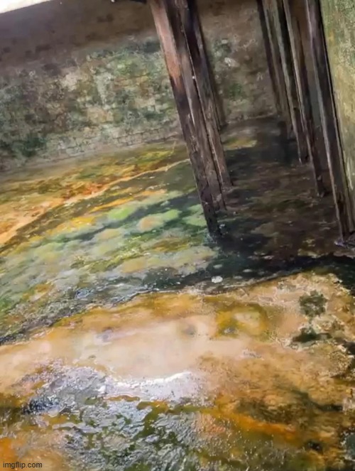 swimming pool | made w/ Imgflip meme maker