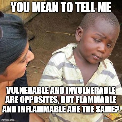 YOU MEAN TO TELL ME VULNERABLE AND INVULNERABLE ARE OPPOSITES, BUT FLAMMABLE AND INFLAMMABLE ARE THE SAME? | image tagged in memes,third world skeptical kid | made w/ Imgflip meme maker