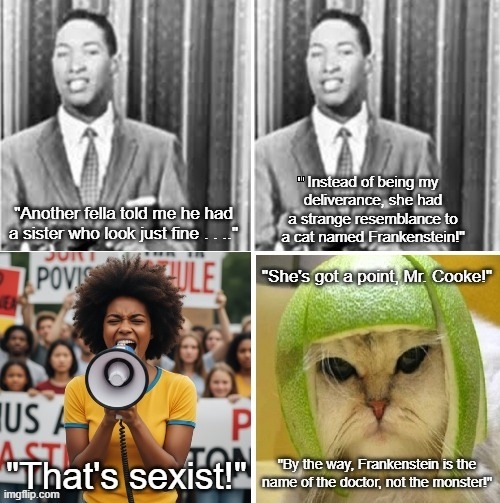 Sam Cooke and Sexism | image tagged in sam cooke,sexist lyric,frankenstein,cat with lime helmet | made w/ Imgflip meme maker