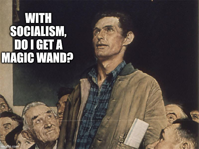 WITH SOCIALISM, DO I GET A MAGIC WAND? | image tagged in village idiot | made w/ Imgflip meme maker