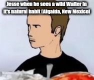 Jesse | Jesse when he sees a wild Walter in it's natural habit [Alqaida, New Mexico] | image tagged in jesse | made w/ Imgflip meme maker