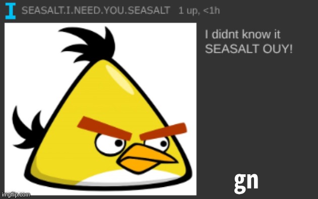 SEASALT OUY | gn | image tagged in seasalt ouy | made w/ Imgflip meme maker