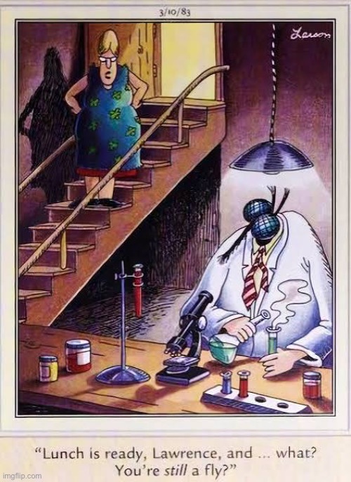 Maybe he likes being a fly… | image tagged in the far side,comics,scientist,human fly,wife,complaining | made w/ Imgflip meme maker