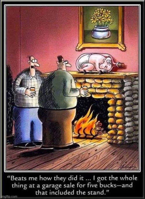 Now, that’s just plain weird… | image tagged in the far side,comics,baby in a bottle,bargain,garage sale,weird | made w/ Imgflip meme maker