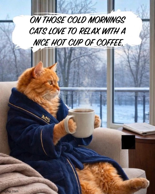 Mister Snuggles loves his coffee… | ON THOSE COLD MORNINGS 
CATS LOVE TO RELAX WITH A 
NICE HOT CUP OF COFFEE. | image tagged in cats,coffee,nice hot cup,cold,mornings,relax | made w/ Imgflip meme maker